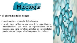 Micología
• La micología es el estudio de los hongos.
• La micología médica es una rama de la microbiología,
interrelacionada con todas las especialidades de la
medicina que tiene por objeto estudiar las enfermedades
producidas por hongos y los hongos que las producen
• Es el estudio de los hongos
 