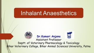 Inhalant Anaesthetics
Dr.Kumari Anjana
Assistant Professor
Deptt. of Veterinary Pharmacology & Toxicology
Bihar Veterinary College, Bihar Animal Sciences University, Patna
 