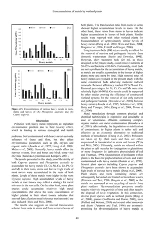 Bioaccumulation of metals by wetland plants
40
Figure (2): Concentrations of various heavy metals in roots,
stems and leaves of (A) Phragmites auatralis and (B)
Cyprus papyrus.
Discussion
Pollution with heavy metal represents an important
environmental problem due to their toxicity effect,
which is leading to serious ecological and health
problems. Soil contaminated with heavy metals not only
influence of fauna and flora, but also affect
environmental parameters such as pH, oxygen and
organic matter (Ansola et al., 1995; Laing et al., 2006;
Maine et al., 2006). Generally, heavy metals affect the
nervous system, liver and bones and block some vital
enzymes (Samecka-Cymerman and Kempers, 2001).
The results presented in this study proof the ability of
both Cyperus papyrus and Phragmites australis to
accumulate the heavy metals Cd, Cu, Ni, Co, Zn, Pb, Cr
and Mn in their roots, stems and leaves. High levels of
most metals were accumulated in the roots of both
plants. Levels of these metals were higher in the roots
Cyperus papyrus. High accumulation levels of heavy
metals in root tissues may reflect a strategy for metal
tolerance in the root cells. On the other hand, some plant
species could accumulate relatively high metal
concentrations (far above the toxic concentration of
higher plants) in their shoot tissues indicates that
internal detoxification metal tolerance mechanism(s) are
also included (Weis and Weis, 2004).
The results also suggeste an internal translocation
scheme from roots to stems and from stems to leaves of
both plants. The translocation ratio from roots to stems
showed higher accumulation levels in roots. On the
other hand, these ratios from stems to leaves indicate
higher accumulation in leaves of both plants. Similar
results were reported with other wetland plants for
bioaccumulation of approximately similar levels of
heavy metals (Deng et al., 2004; Weis and Weis, 2004;
Bragato et al., 2006; Fritioff and Greger, 2006).
Long treatment beds (100 m) are usually excellent for
the removal of nutrient and pathogenic bacteria from
domestic wastewaters (Butler and Dewedar, 1991).
However, short treatment beds (20 m), as those
designed in the present study, could remove nutrients at
50-65% and bacteria at 80-86%. Fortunately, short beds
are not a problem for the accumulation of heavy metals,
as metals are usually accumulate in the tissues of higher
plants more and more by time. High removal rates of
heavy metals are recorded in the present study with the
same constructed beds achieving moderate nutrient
removals. Removal efficiency reached 99 % Pb and Cu.
Removal percentages for Ni, Cr, Co and Mn were also
relatively high (86-90%). Our results could be supported
by other studies proving the efficiency of constructed
wetland systems for the removal of not only nutrient
and pathogenic bacteria (Dewedar et al., 2005), but also
heavy metals (Ansola et al., 1995; Scholes et al., 1998;
Batty and Younger, 2004; Deng et al., 2004; Maine et
al., 2006).
Metal remediation through common physical and
chemical technologies is expensive and unsuitable in
case of voluminous effluents containing complex
organic matters and metal contamination (Groudeva et
al., 2001). Alternatively, the degradation or stabilization
of contaminants by higher plants is rather safe and
effective as an economic alternative to traditional
methods of remediation (Cheng et al., 2002). Pollutants
are taken up by plant roots and then are either
sequestered or translocated to stems and leaves (Weis
and Weis, 2004). Ultimately, metals are released within
the plant to cell vacuoles by conjugation to glutathione
or more frequently its derivative phytochelatin (Field
and Thurman, 1996). Sequestration of pollutants within
plants is the basis for phytoextraction of soils and water
contaminated with heavy metals (Raskin et al., 1997).
Several plant species including Cyprus papyrus and
Phragmites australis have been shown to accumulate
high levels of various heavy metals (Deng et al., 2004).
Plant shoots and roots containing metals are
subsequently harvested and treated as hazardous wastes
(Peterson and Teal, 1996; Bragato et al., 2006) or the
metals are recovered as ore recycling of metals from
plant residues. Phytoremediation processes usually
require relatively long periods of time and often require
the disposal of toxic vegetation. In this connection,
diverse plant species such as wetland plants (Deng et
al., 2004), grasses (Nedlkoska and Doran, 2000), trees
(Pulford and Watson, 2003) and several other monocots
and dicots (Peterson and Teal, 1996) are extremely
promising for phytoremediation of heavy metals in
0
20
40
60
80
100
120
140
160
180
M n Co Cr Zn Ni Cu Cd Pb
Heavy metals
Ro o t Stem Leaf
(B)
Conc.
Of
metals
(ug/
gDW)
0
20
40
60
80
100
120
140
160
180
Mn Co Cr Zn Ni Cu Cd Pb
Heavy metals
Ro o t Stem Leaf
Conc.
Of
metals
(ug/
gDW)
(A)
 
