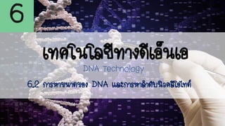 6
เทคโนโลยีทางดีเอ็นเอ
DNA Technology
6.2 การหาขนาดของ DNA และการหาลาดับนิวคลีโอไทด์
 