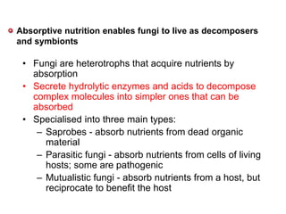 Absorptive nutrition enables fungi to live as decomposers
and symbionts
• Fungi are heterotrophs that acquire nutrients by
absorption
• Secrete hydrolytic enzymes and acids to decompose
complex molecules into simpler ones that can be
absorbed
• Specialised into three main types:
– Saprobes - absorb nutrients from dead organic
material
– Parasitic fungi - absorb nutrients from cells of living
hosts; some are pathogenic
– Mutualistic fungi - absorb nutrients from a host, but
reciprocate to benefit the host
 
