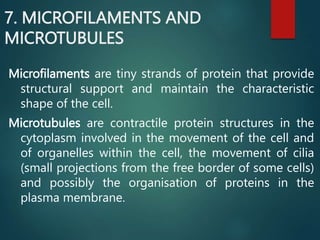 7. MICROFILAMENTS AND
MICROTUBULES
Microfilaments are tiny strands of protein that provide
structural support and maintain the characteristic
shape of the cell.
Microtubules are contractile protein structures in the
cytoplasm involved in the movement of the cell and
of organelles within the cell, the movement of cilia
(small projections from the free border of some cells)
and possibly the organisation of proteins in the
plasma membrane.
 