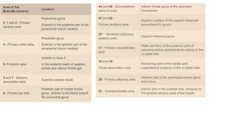 6.4.23 neuroanatomy.pdf