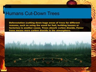 Humans Cut-Down Trees
Deforestation (cutting down huge areas of trees for different
reasons, such as using the wood for fuel, building houses or
factories) is another cause. Trees absorb carbon dioxide. Fewer
trees means more carbon dioxide in the atmosphere.
 