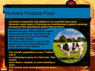 Animals, such as cows, release a
greenhouse gas called methane when
they burp and break wind (that’s the
polite term for it, you can probably
think of other terms).
Fertilisers that farmers use to help
plants grow well and pesticides to
keep insects away release
greenhouse gases.
Humans Produce Food
Farming is important and without it we wouldn’t have food.
However, some types of farming are contributing to global warming
because of the greenhouse gases they produce.
The world’s population is over 7 billion
and it
is continuing to grow at a fast rate. This
means
more food is needed, so more farming is
done.
This means even more greenhouse gases
are
 