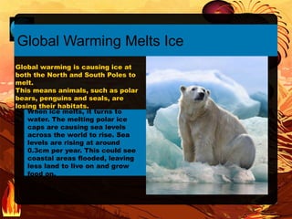 When ice melts, it turns to
water. The melting polar ice
caps are causing sea levels
across the world to rise. Sea
levels are rising at around
0.3cm per year. This could see
coastal areas flooded, leaving
less land to live on and grow
food on.
Global Warming Melts Ice
Global warming is causing ice at
both the North and South Poles to
melt.
This means animals, such as polar
bears, penguins and seals, are
losing their habitats.
 