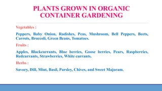 PLANTS GROWN IN ORGANIC
CONTAINER GARDENING
Vegetables :
Peppers, Baby Onion, Radishes, Peas, Mushroom, Bell Peppers, Beets,
Carrots, Broccoli, Green Beans, Tomatoes.
Fruits :
Apples, Blackcurrants, Blue berries, Goose berries, Pears, Raspberries,
Redcurrants, Strawberries, White currants.
Herbs :
Savory, Dill, Mint, Basil, Parsley, Chives, and Sweet Majoram.
 