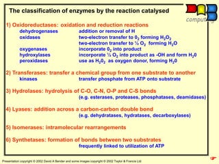 Hydrolase Using H2o2 6. ENZIM.ppt