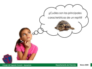 Departamento de Ciencias Marzo 2020
¿Cuáles son las principales
características de un reptil?
 