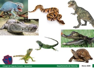 Departamento de Ciencias Marzo 2020
 