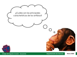 Departamento de Ciencias Marzo 2020
¿Cuáles son las principales
características de los anfibios?
 