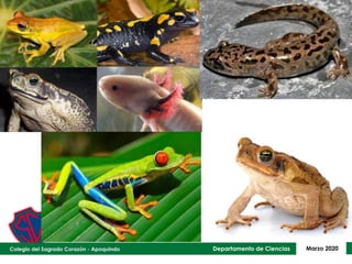 Departamento de Ciencias Marzo 2020
 