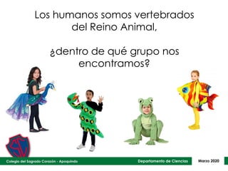 Departamento de Ciencias Marzo 2020
Los humanos somos vertebrados
del Reino Animal,
¿dentro de qué grupo nos
encontramos?
 
