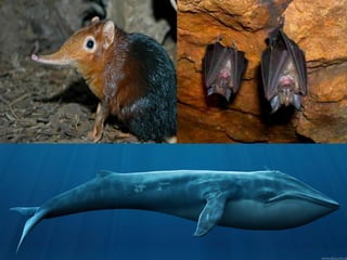 Departamento de Ciencias Marzo 2020
 