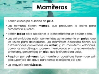 Departamento de Ciencias Marzo 2020
Mamíferos
• Tienen el cuerpo cubierto de pelo.
• Las hembras tienen mamas, que producen la leche para
alimentar a sus crías.
• Tienen labios para succionar la leche materna sin causar daño.
• Las extremidades están convertidas generalmente en patas, que
les sirven para desplazarse. Los mamíferos acuáticos tienen sus
extremidades convertidas en aletas; y los mamíferos voladores,
como los murciélagos, poseen membranas en sus extremidades
anteriores, convertidas en alas, que le sirven para volar.
• Respiran por pulmones. Los mamíferos acuáticos tienen que salir
a la superficie del agua para tomar el oxígeno del aire.
• La mayoría son vivíparos.
 