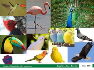 Departamento de Ciencias Marzo 2020
 