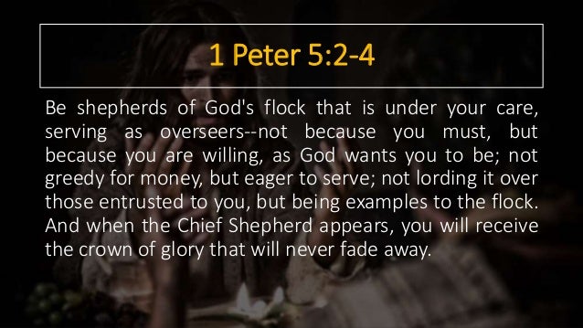 Image result for 1 Peter 5:2-4 not lording