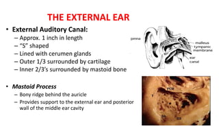 Bonye Process Ear Disorders.pptx