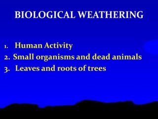 BIOLOGICAL WEATHERING
1. Human Activity
2. Small organisms and dead animals
3. Leaves and roots of trees
 