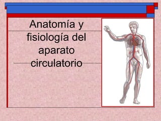 Anatomía y
fisiología del
aparato
circulatorio
 