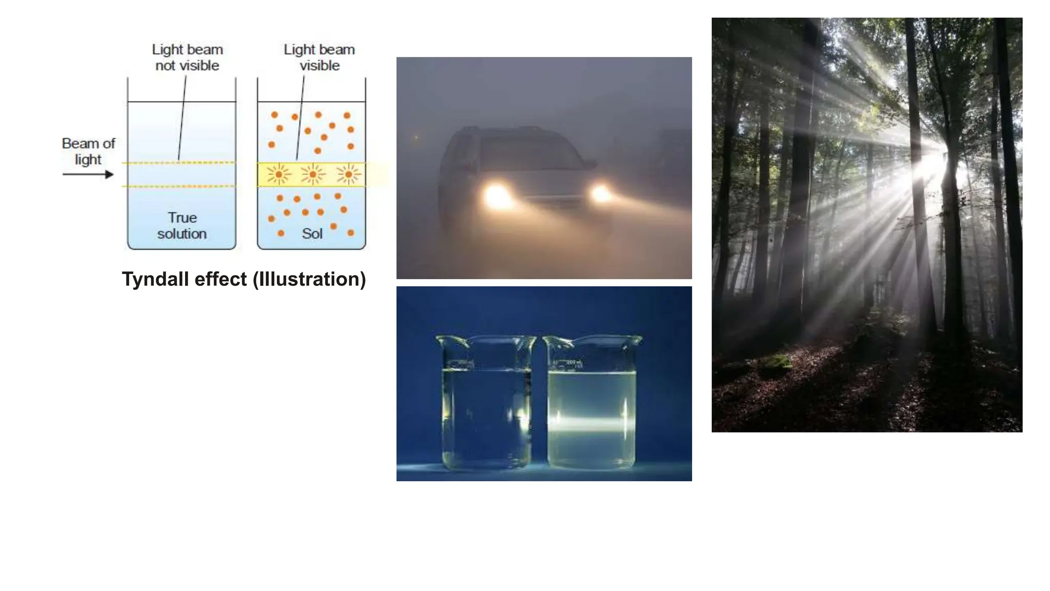 Tyndall effect (Illustration)
 