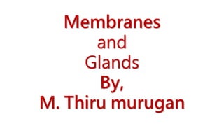 Membranes
and
Glands
By,
M. Thiru murugan
 