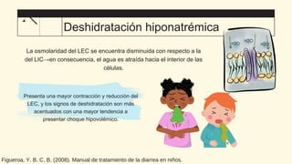 Deshidratación hiponatrémica
La osmolaridad del LEC se encuentra disminuida con respecto a la
del LIC→en consecuencia, el agua es atraída hacia el interior de las
células.
Presenta una mayor contracción y reducción del
LEC, y los signos de deshidratación son más
acentuados con una mayor tendencia a
presentar choque hipovolémico.
Figueroa, Y. B. C. B. (2008). Manual de tratamiento de la diarrea en niños.
 