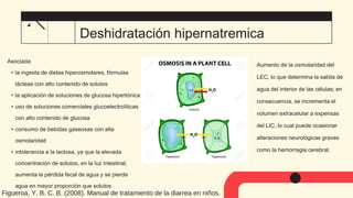 Asociada
• la ingesta de dietas hiperosmolares, fórmulas
lácteas con alto contenido de solutos
• la aplicación de soluciones de glucosa hipertónica
• uso de soluciones comerciales glucoelectrolíticas
con alto contenido de glucosa
• consumo de bebidas gaseosas con alta
osmolaridad
• intolerancia a la lactosa, ya que la elevada
concentración de solutos, en la luz intestinal,
aumenta la pérdida fecal de agua y se pierde
agua en mayor proporción que solutos
Aumento de la osmolaridad del
LEC, lo que determina la salida de
agua del interior de las células; en
consecuencia, se incrementa el
volumen extracelular a expensas
del LIC, lo cual puede ocasionar
alteraciones neurológicas graves
como la hemorragia cerebral.
Deshidratación hipernatremica
12
Figueroa, Y. B. C. B. (2008). Manual de tratamiento de la diarrea en niños.
 