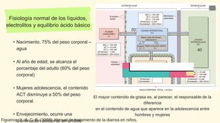 Fisiología normal de los líquidos,
electrolitos y equilibrio ácido básico
• Nacimiento, 75% del peso corporal –
agua
• Al año de edad, se alcanza el
porcentaje del adulto (60% del peso
corporal)
• Mujeres adolescencia, el contenido
ACT disminuye a 50% del peso
corporal.
• Envejecimiento, ocurre una
disminución adicional en ambos
El mayor contenido de grasa es, al parecer, el responsable de la
diferencia
en el contenido de agua que aparece en la adolescencia entre
hombres y mujeres
40
20
Figueroa, Y. B. C. B. (2008). Manual de tratamiento de la diarrea en niños.
 