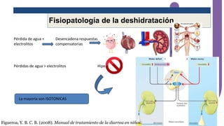 Fisiopatología de la deshidratación
Pérdida de agua +
electrolitos
Desencadena respuestas
compensatorias
Pérdidas de agua > electrolitos Hipernatremia
La mayoría son ISOTONICAS
Figueroa, Y. B. C. B. (2008). Manual de tratamiento de la diarrea en niños.
 