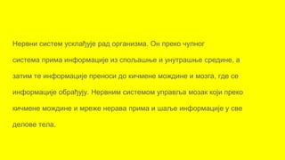 Нервни систем усклађује рад организма. Он преко чулног
система прима информације из спољашње и унутрашње средине, а
затим те информације преноси до кичмене мождине и мозга, где се
информације обрађују. Нервним системом управља мозак који преко
кичмене мождине и мреже нерава прима и шаље информације у све
делове тела.
 