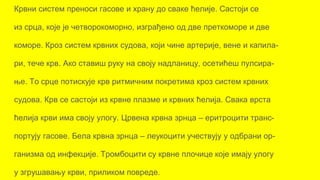 Спољашња и унутрашња грађа човека 6. разред.pptx