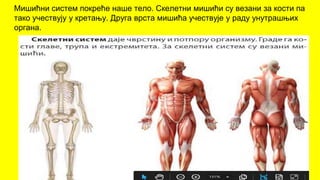 Мишићни систем покреће наше тело. Скелетни мишићи су везани за кости па
тако учествују у кретању. Друга врста мишића учествује у раду унутрашњих
органа.
 