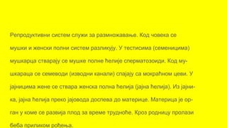 Репродуктивни систем служи за размножавање. Код човека се
мушки и женски полни систем разликују. У тестисима (семеницима)
мушкарца стварају се мушке полне ћелије сперматозоиди. Код му-
шкараца се семеводи (изводни канали) спајају са мокраћном цеви. У
јајницима жене се ствара женска полна ћелија (јајна ћелија). Из јајни-
ка, јајна ћелија преко јајовода доспева до материце. Материца је ор-
ган у коме се развија плод за време трудноће. Кроз родницу пролази
беба приликом рођења.
 