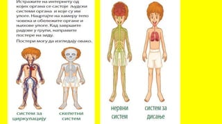 Спољашња и унутрашња грађа човека 6. разред.pptx