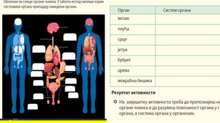 Спољашња и унутрашња грађа човека 6. разред.pptx