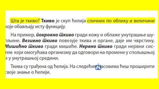 Спољашња и унутрашња грађа човека 6. разред.pptx