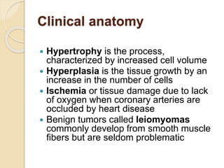 6. MUSCLE TISSUE. MEDICAL studies for pptx | PPTX