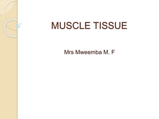 MUSCLE TISSUE
Mrs Mweemba M. F
 