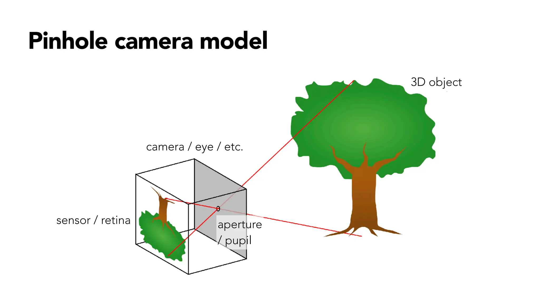 Pinhole camera model
3D object
camera / eye / etc.
sensor / retina aperture
/ pupil
 