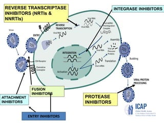 REVERSE TRANSCRIPTASE
INHIBITORS (NRTIs &
NNRTIs)
PROTEASE
INHIBITORS
ATTACHMENT
INHIBITORS
INTEGRASE INHIBITORS
FUSION
INHIBITORS
HIV DRUG TARGETS: CURRENT AND FUTURE
ENTRY INHIBITORS
 