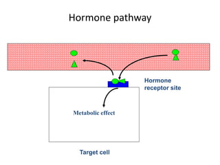 6. Body regulation.Homeostasis and adaptation to the environment.ppt
