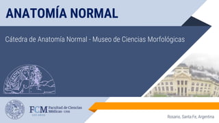 ANATOMÍA NORMAL
Cátedra de Anatomía Normal - Museo de Ciencias Morfológicas
Rosario, Santa Fe, Argentina
 