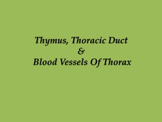 Thymus, Thoracic Duct
&
Blood Vessels Of Thorax
 