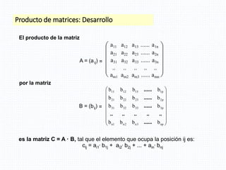 Producto de matrices: Desarrollo
es la matriz C = A · B, tal que el elemento que ocupa la posición ij es:
cij = ai1
. b1j + ai2
. b2j + ... + ain
. bnj
El producto de la matriz
A = (aij) =












a11 a12 a13 ...... a1n
a21 a22 a23 ...... a2n
a31 a32 a33 ...... a3n
.. .. .. .. ..
am1 am2 am3 ...... amn
por la matriz
B = (bij) =
















np
3
n
2
n
1
n
p
3
33
32
31
p
2
23
22
21
p
1
13
12
11
b
b
b
b
b
b
b
b
b
b
b
b
b
b
b
b
......
..
..
..
..
..
......
......
......
 