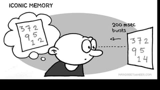 6. Sensory Memory and its types, and Short-term Memory.pptx
