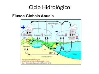 Fluxos Globais Anuais
+ -
Ciclo Hidrológico
 