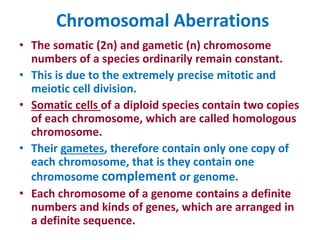 Chromosomal Aberrations
• The somatic (2n) and gametic (n) chromosome
numbers of a species ordinarily remain constant.
• This is due to the extremely precise mitotic and
meiotic cell division.
• Somatic cells of a diploid species contain two copies
of each chromosome, which are called homologous
chromosome.
• Their gametes, therefore contain only one copy of
each chromosome, that is they contain one
chromosome complement or genome.
• Each chromosome of a genome contains a definite
numbers and kinds of genes, which are arranged in
a definite sequence.
 