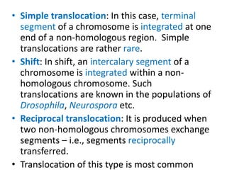 • Simple translocation: In this case, terminal
segment of a chromosome is integrated at one
end of a non-homologous region. Simple
translocations are rather rare.
• Shift: In shift, an intercalary segment of a
chromosome is integrated within a non-
homologous chromosome. Such
translocations are known in the populations of
Drosophila, Neurospora etc.
• Reciprocal translocation: It is produced when
two non-homologous chromosomes exchange
segments – i.e., segments reciprocally
transferred.
• Translocation of this type is most common
 