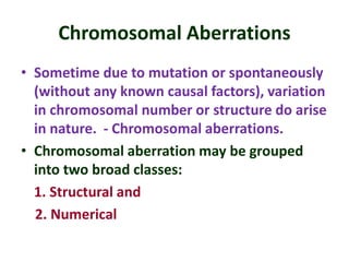 Chromosomal Aberrations
• Sometime due to mutation or spontaneously
(without any known causal factors), variation
in chromosomal number or structure do arise
in nature. - Chromosomal aberrations.
• Chromosomal aberration may be grouped
into two broad classes:
1. Structural and
2. Numerical
 